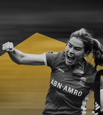 Banner website GOUDE STICK 4 2