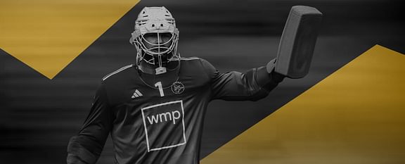 Banner website GOUDE STICK 9