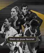 Witeframes gouden stick stemmen 24